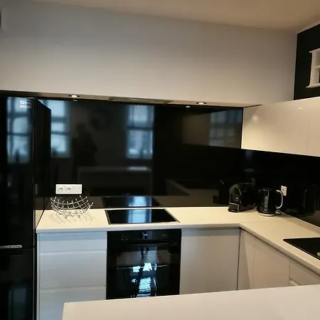 Apartment Black&white Apartment- Wierzbowa 5 Posen