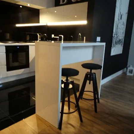 شقة Black&white Apartment- Wierzbowa 5 بوزنان