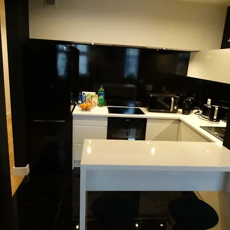 Black&white Apartment- Wierzbowa 5 아파트 포즈난