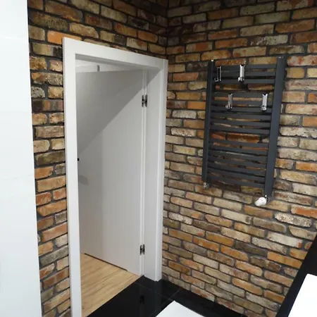 شقة Black&white Apartment- Wierzbowa 5 بوزنان