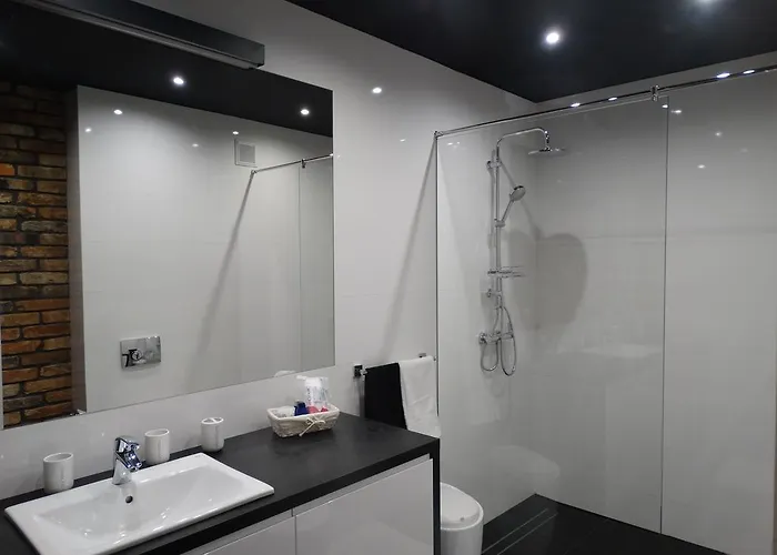 Black&white Apartment- Wierzbowa 5 * Poznan