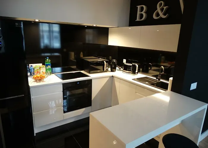 Black&white Apartment- Wierzbowa 5 Poznan