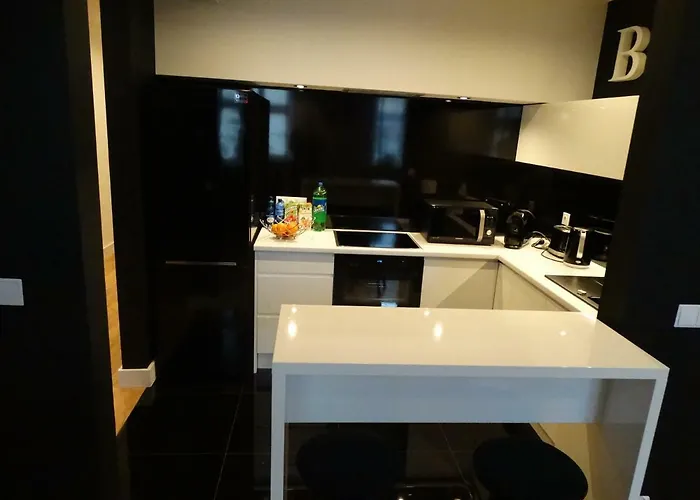 Black&white Apartment- Wierzbowa 5 Apartment Poznan